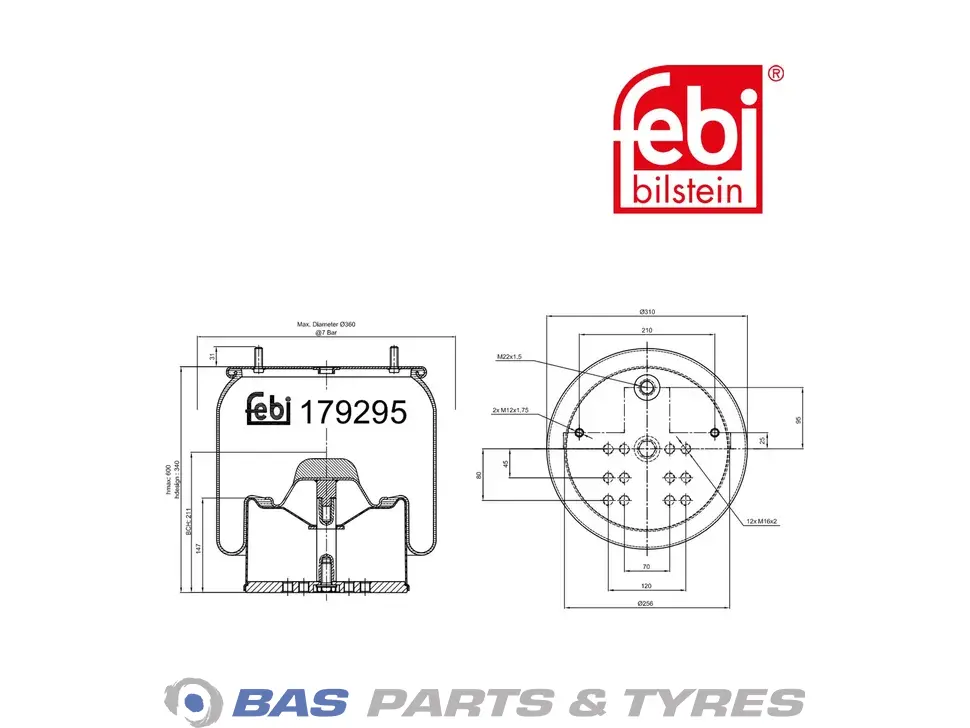 Balg Febi