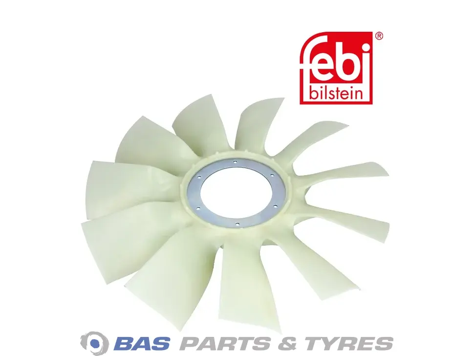 Fan Febi 1883609