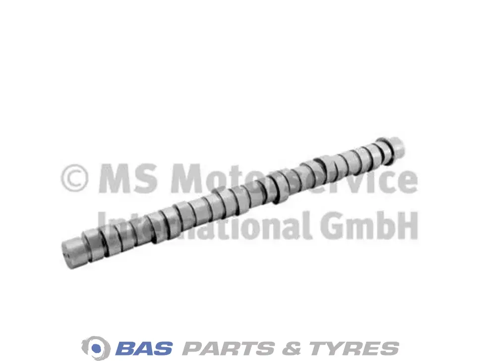 Arbore cu came BF Germany 1677665