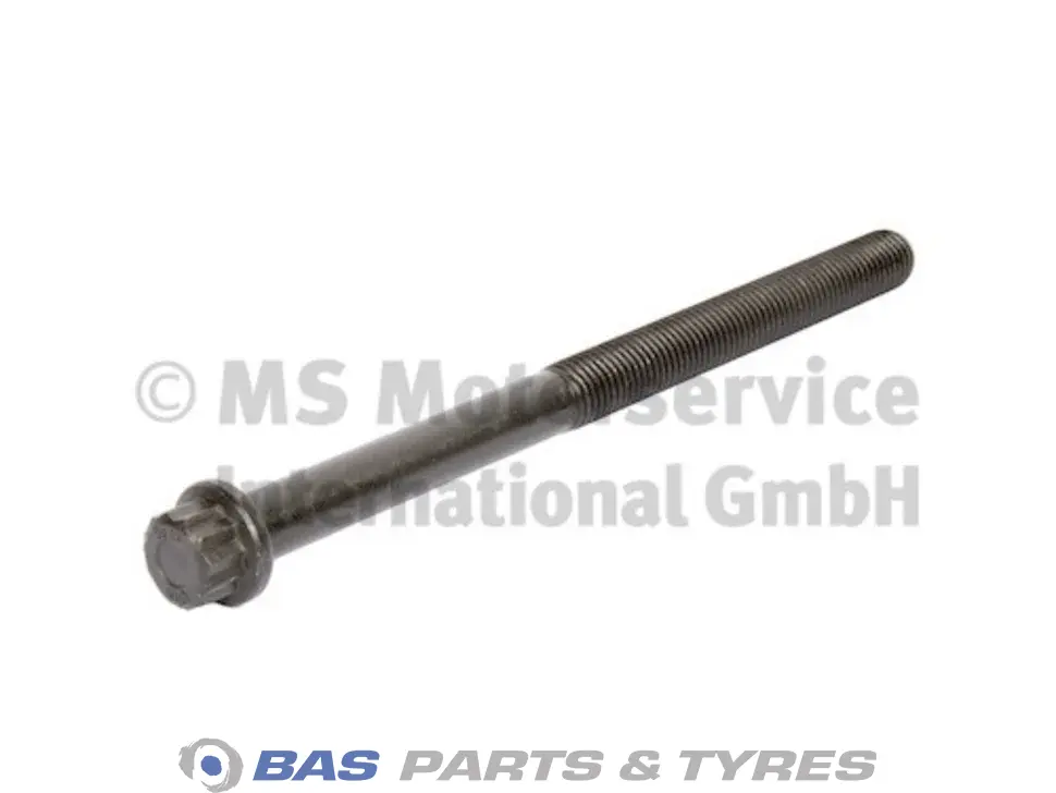 Vijak glave motora BF Germany 4579900201