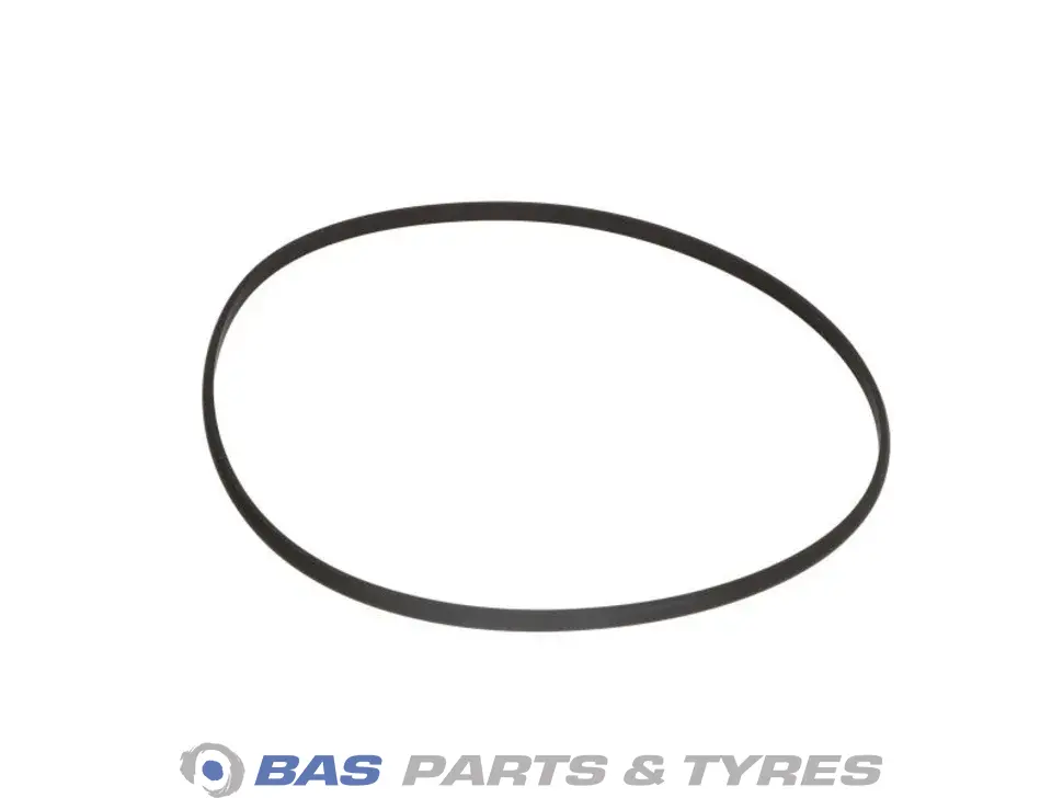 O-Ring Elring 0189974845