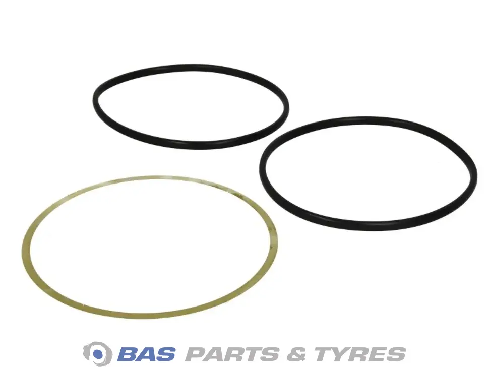 Dichtsatz Elring BR500