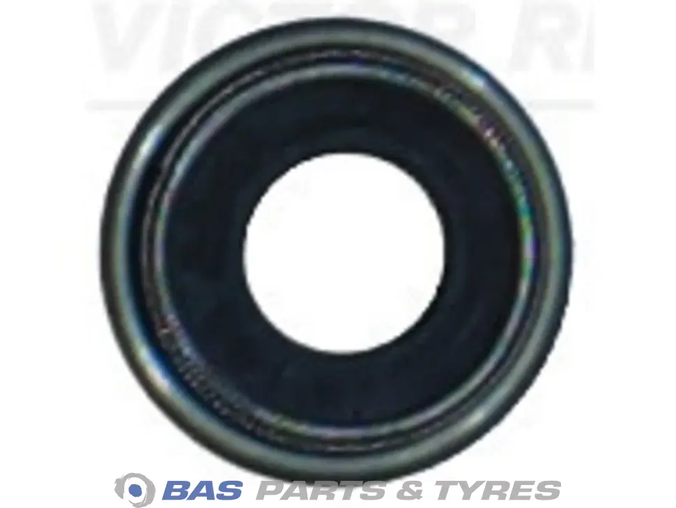 Seal Victor Reinz 132076547R(6X)