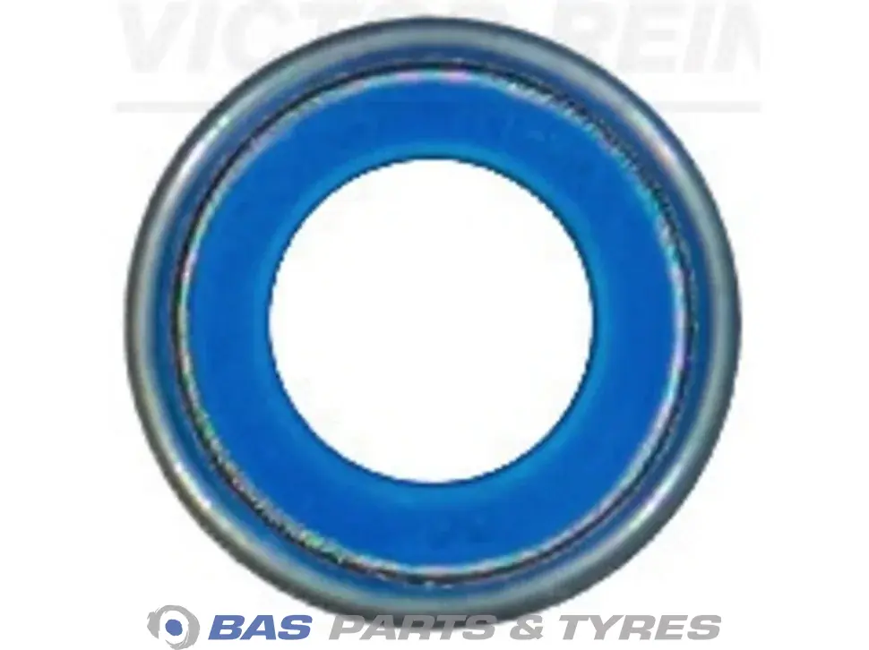 Seal Victor Reinz 2522929