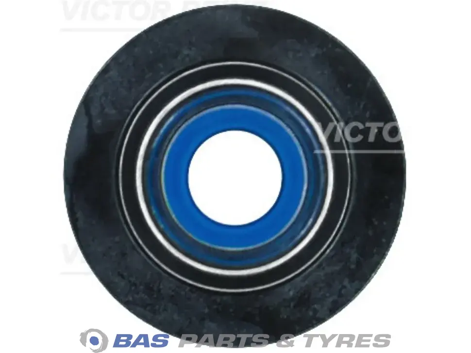 Seal Victor Reinz 2693271