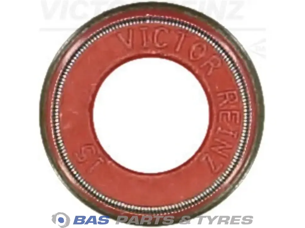 Seal Victor Reinz 1913734