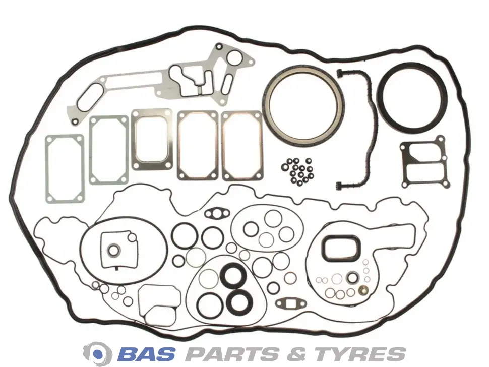 Kit di revisione generale Victor Reinz 5001867442