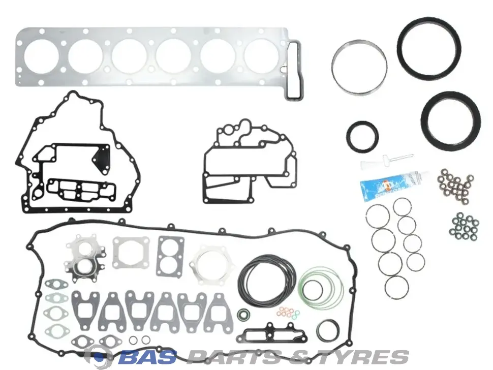 Kit di revisione generale Victor Reinz 51009006709
