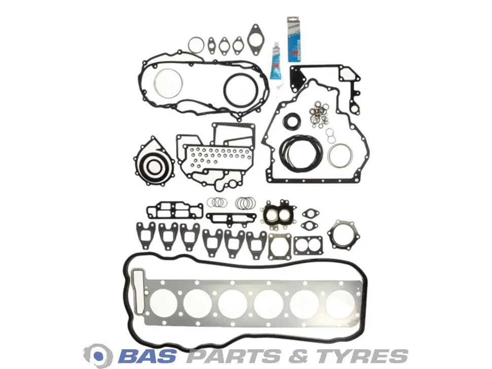 Kit di revisione generale Victor Reinz 51009006713