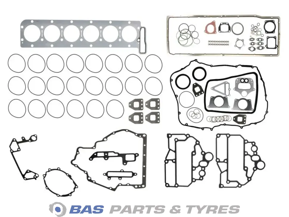 Kit di revisione generale Victor Reinz 51009006812