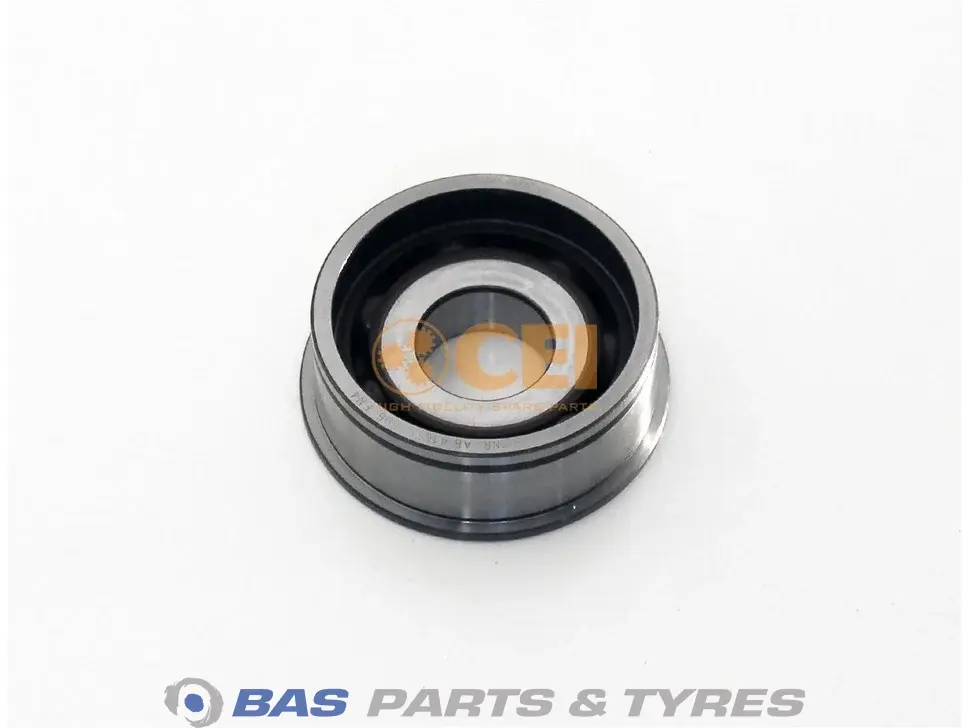 Bearing CEI