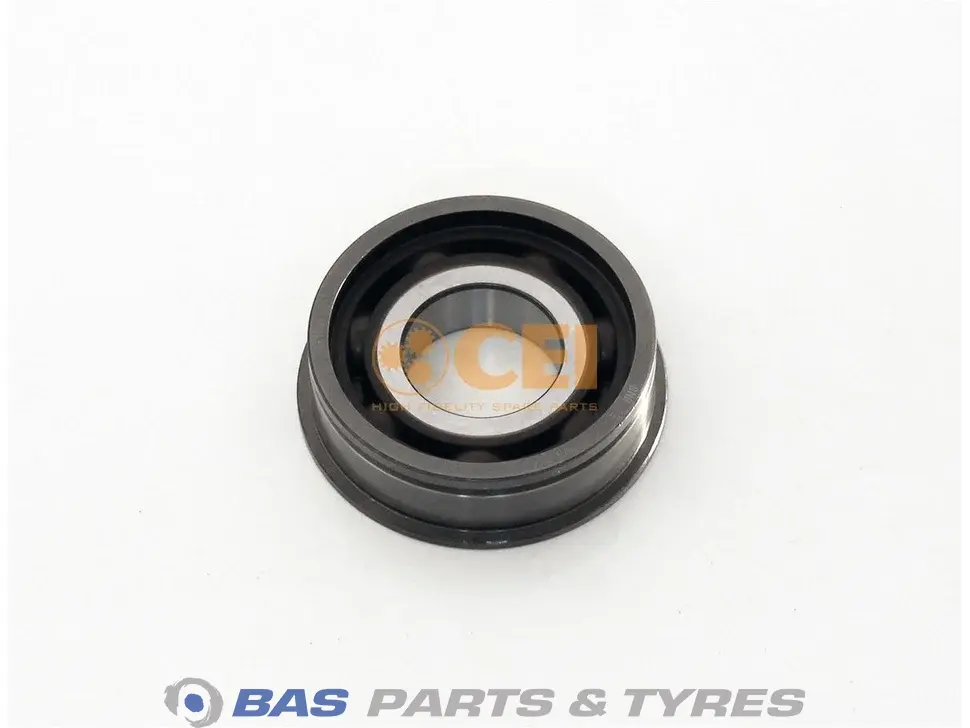 Bearing CEI