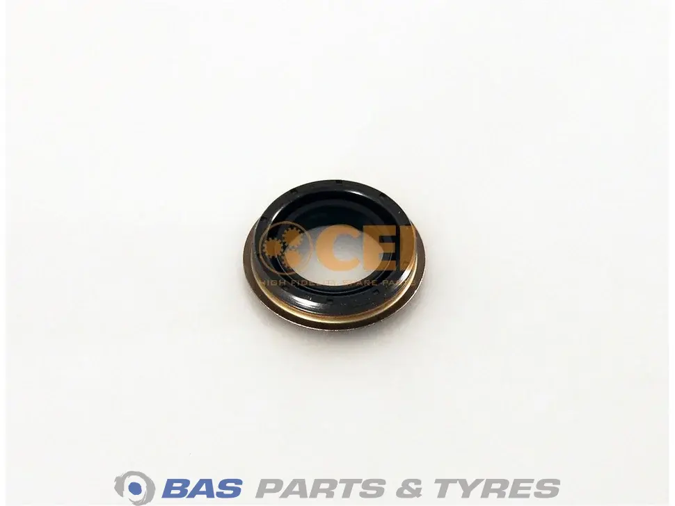 Joint spi CEI
