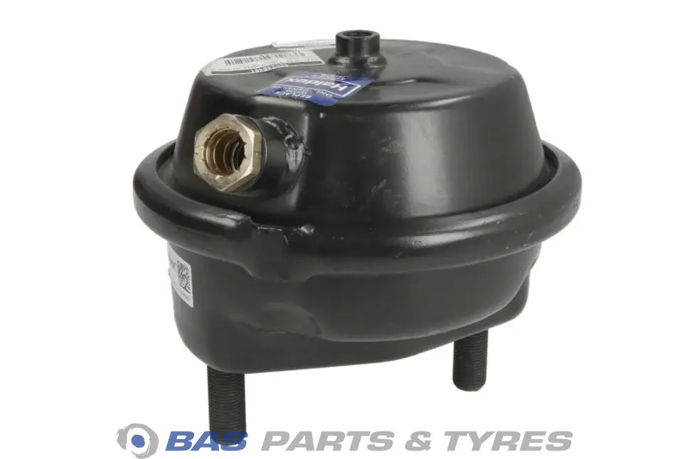 Servomotor Haldex 54207924